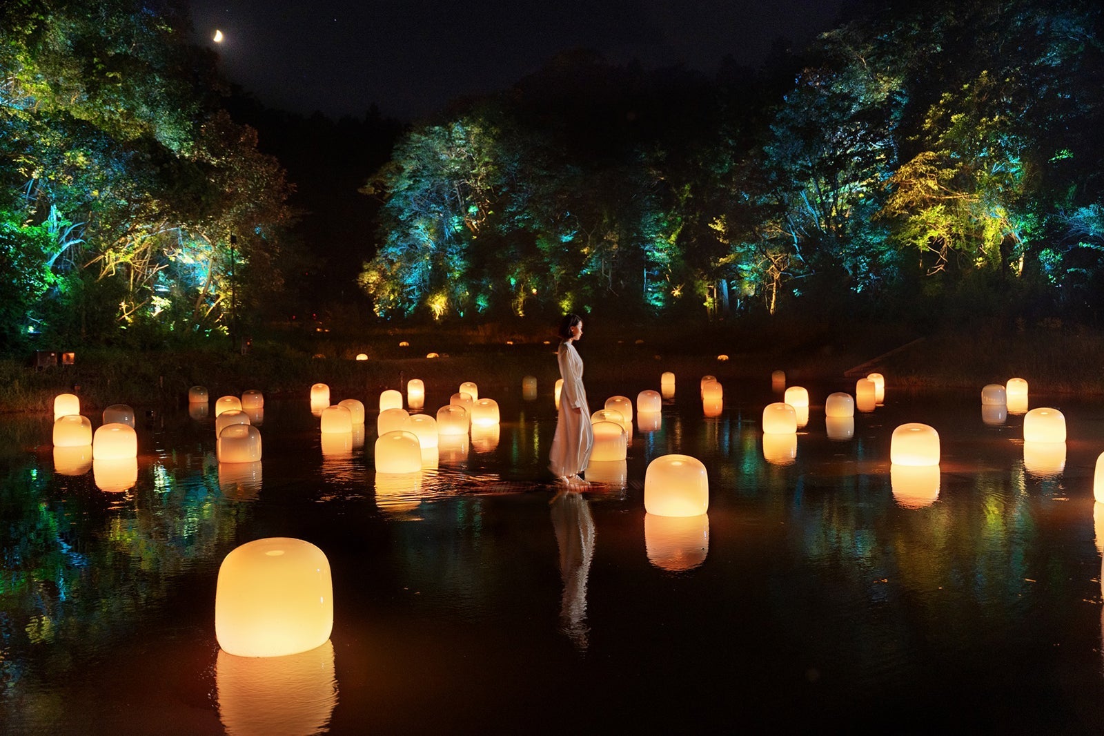 8 immersive digital art museums around the world worth experiencing