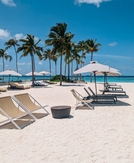 Need points for spring and summer travel next year? Apply for a new credit card now