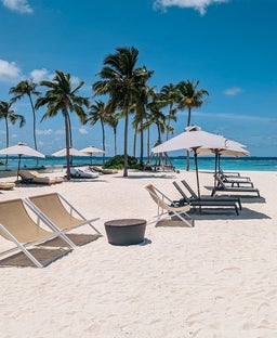Need points for spring and summer travel next year? Apply for a new credit card now