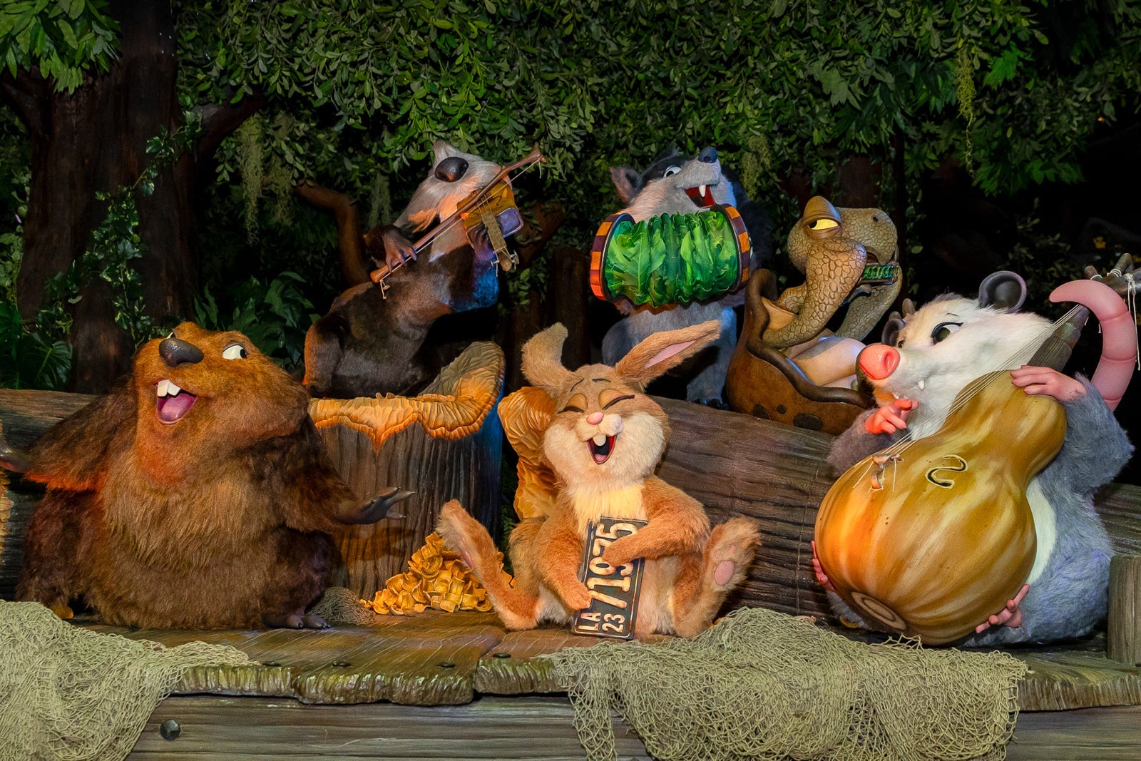 Tiana's Bayou Adventure