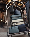suitcases on luggage cart