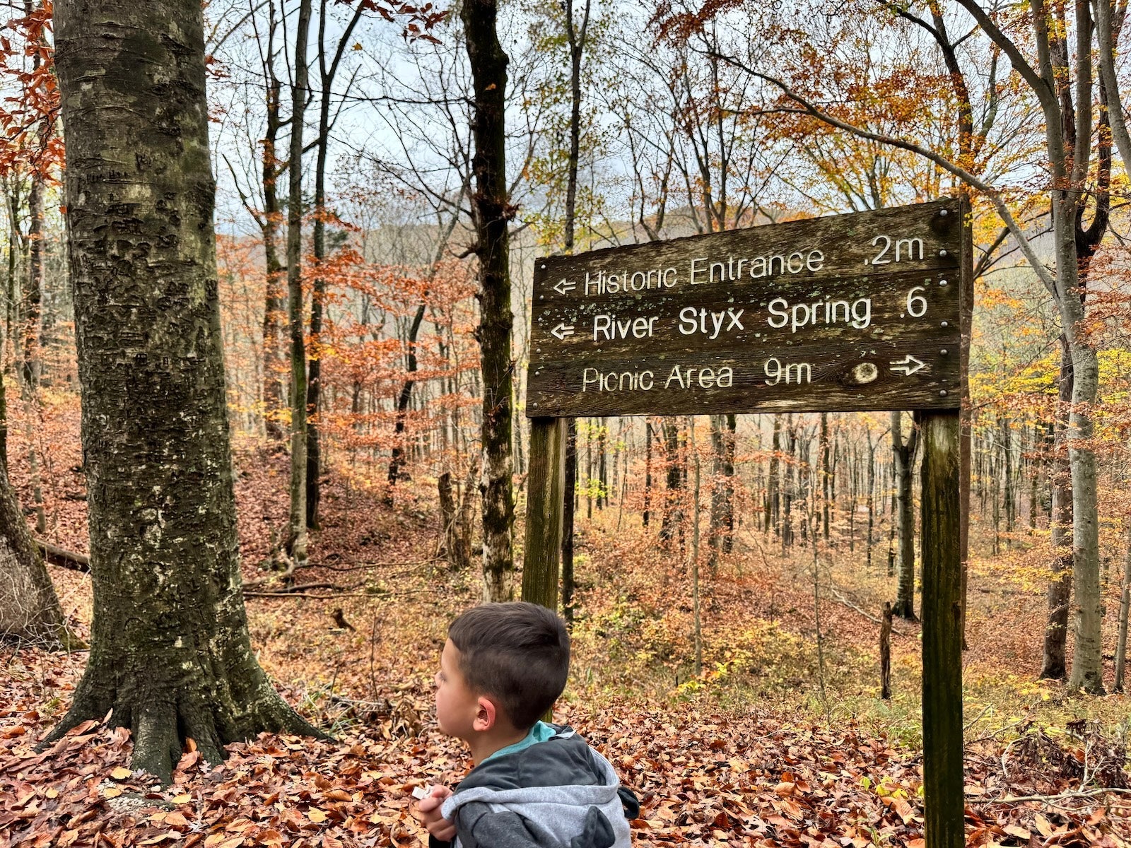 Boy hiking