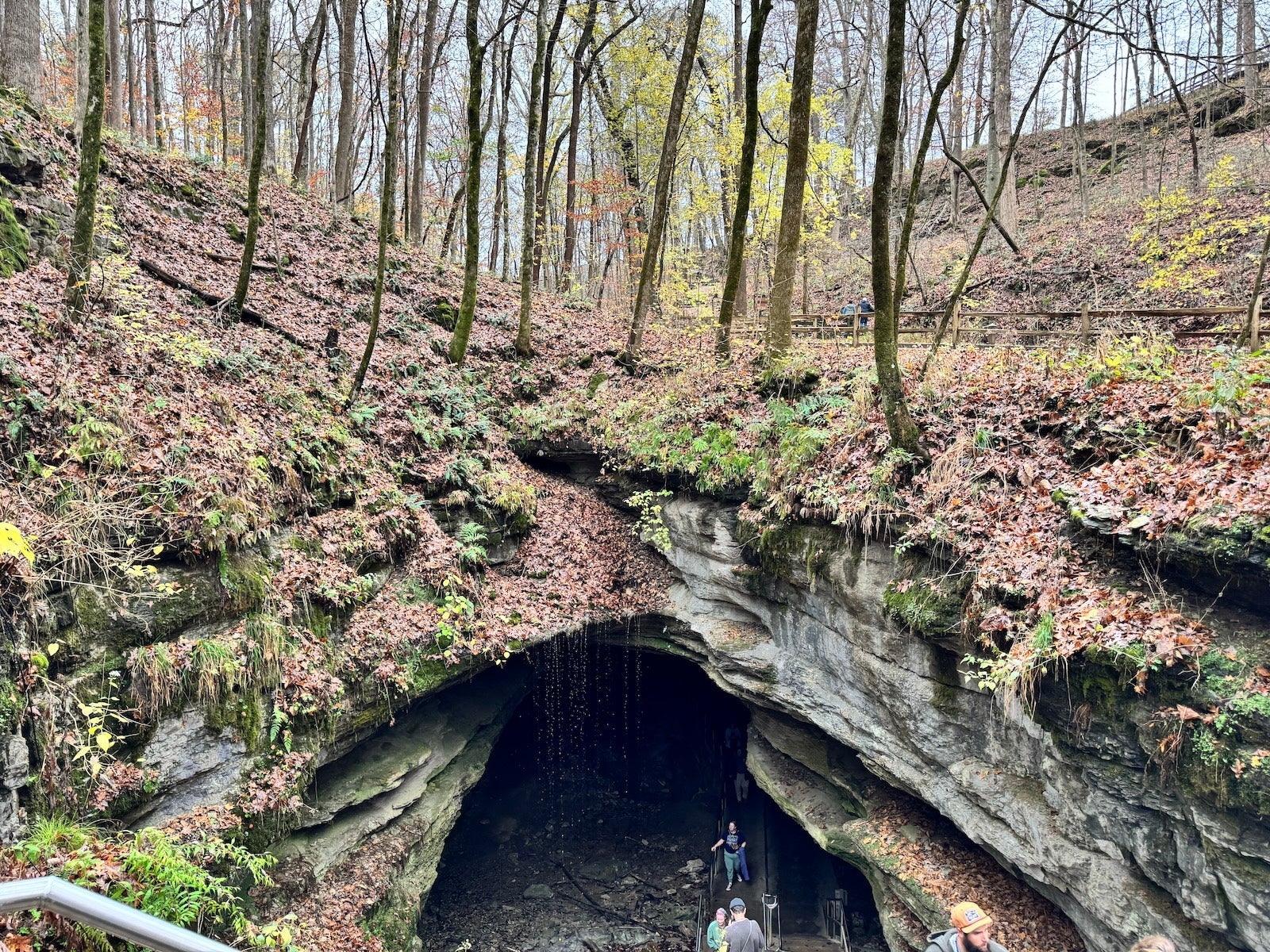 Hikinh trail