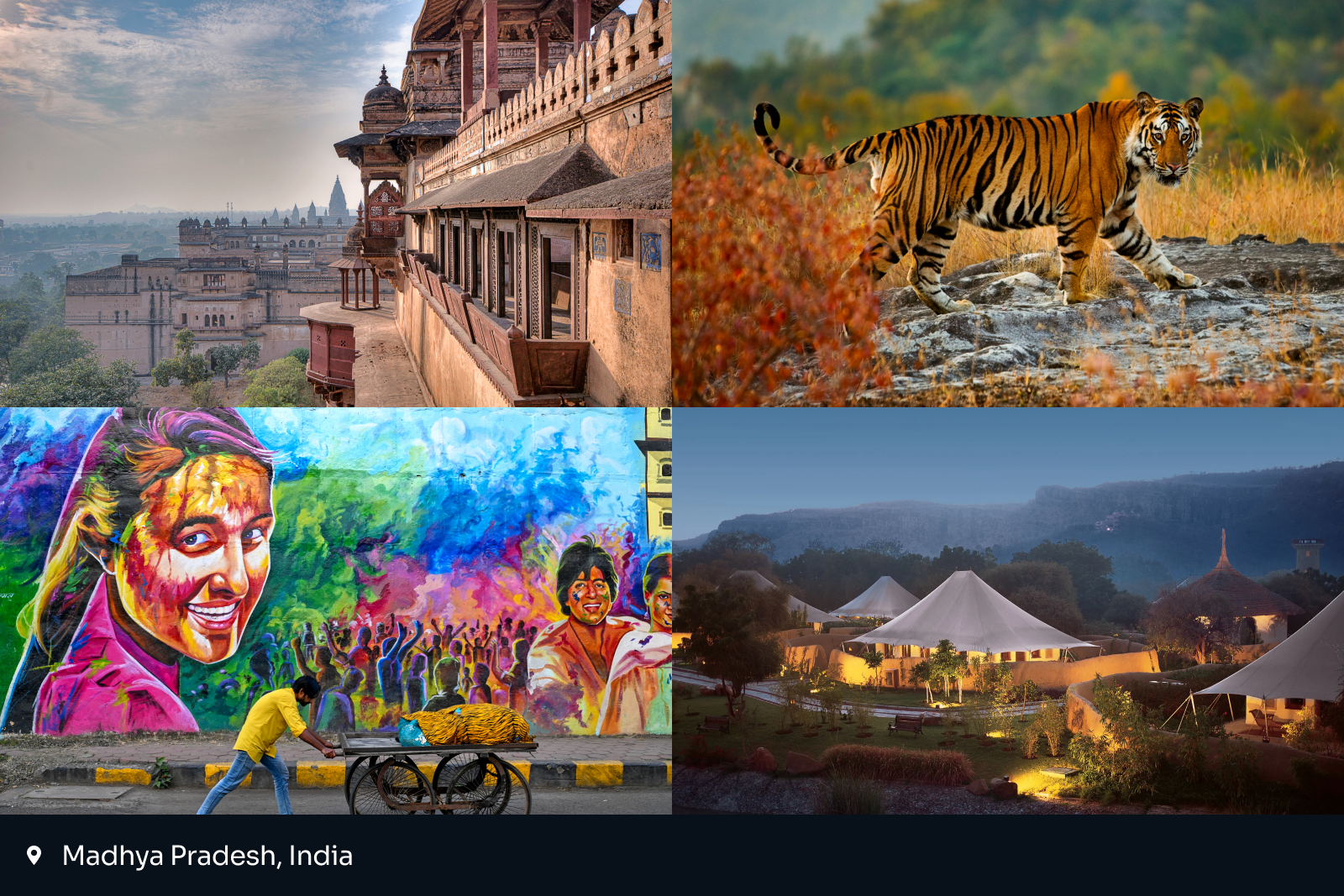 best places to travel 2025: collage of four images from Madhya Pradesh, India