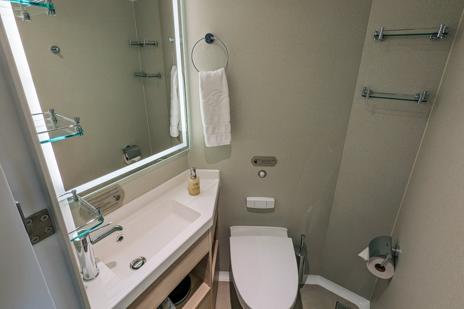 Disney Treasure cabin bathroom