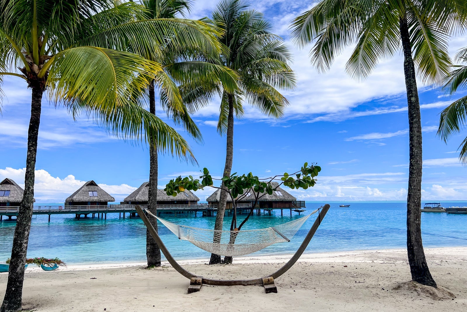 PARADISE UNLOCKED: Ditch the Dollars, Grab 25K Points & GO!