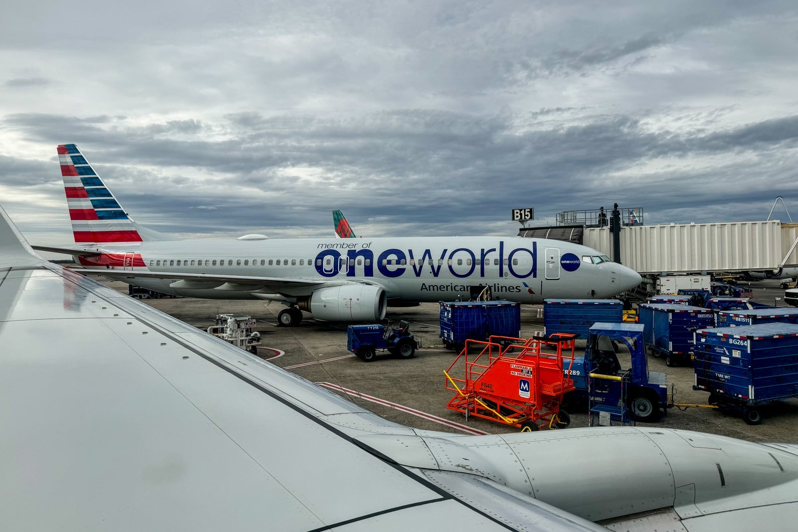 A Oneworld Alliance-branded American Airlines jet.