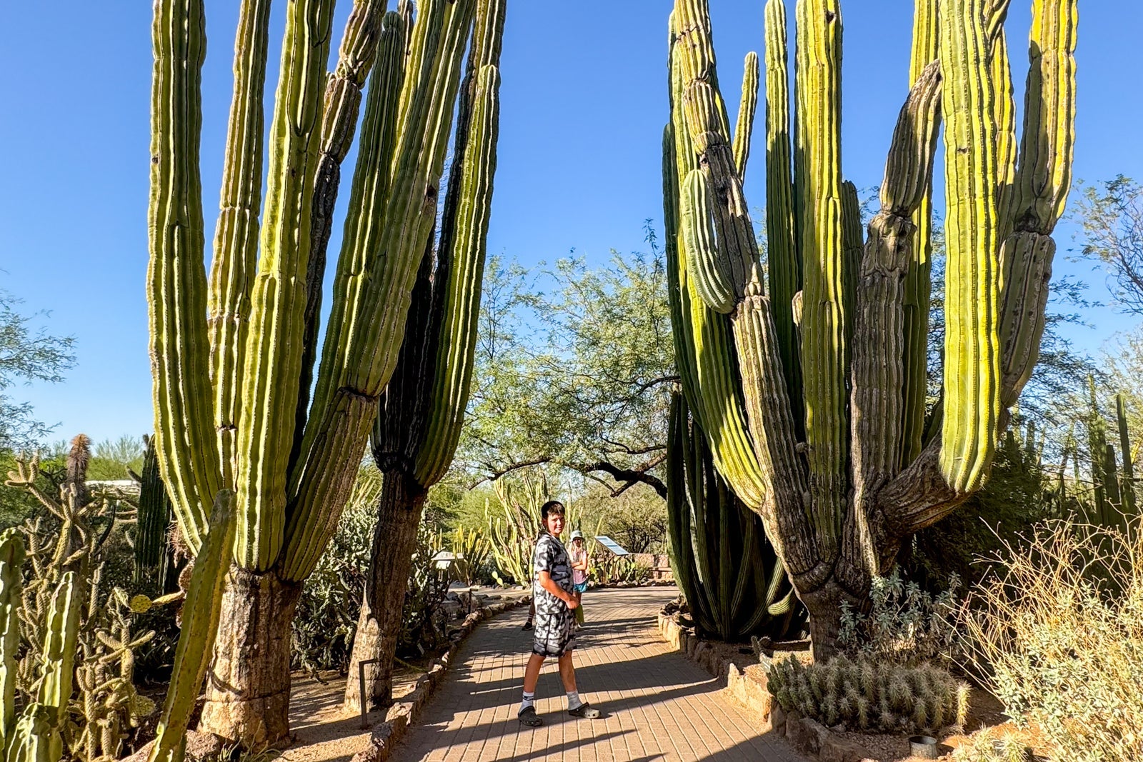 Desert
