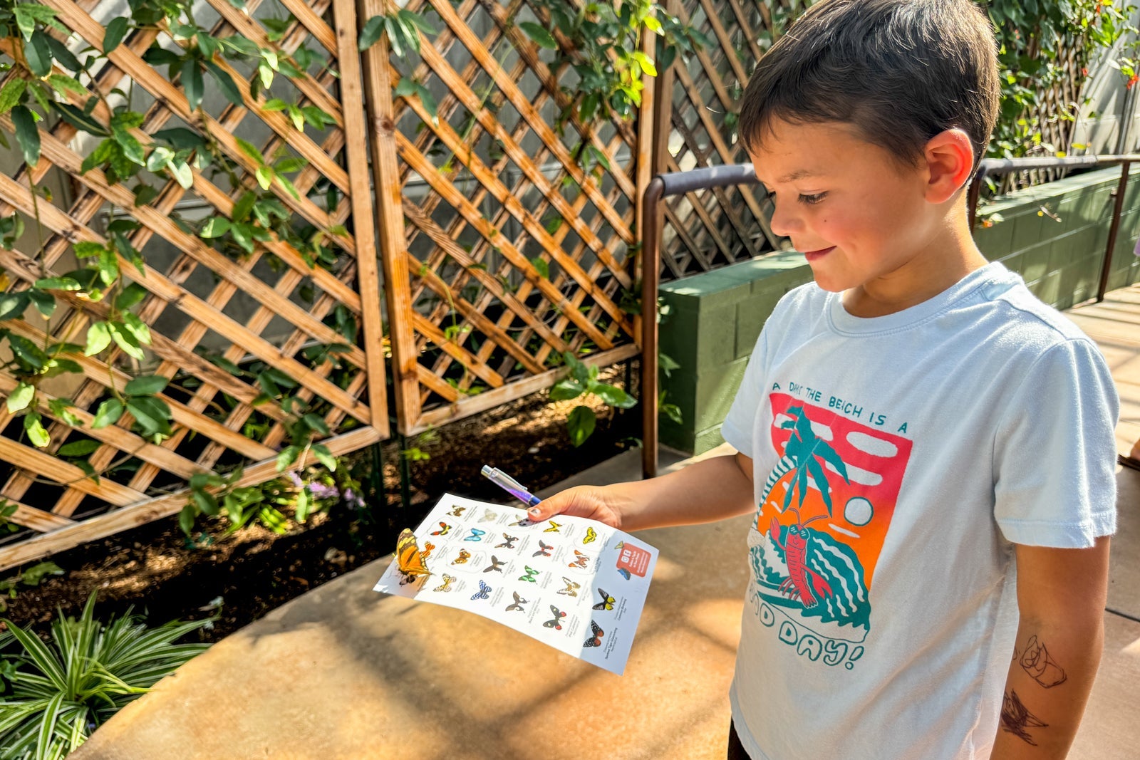 Boy holding butterfly
