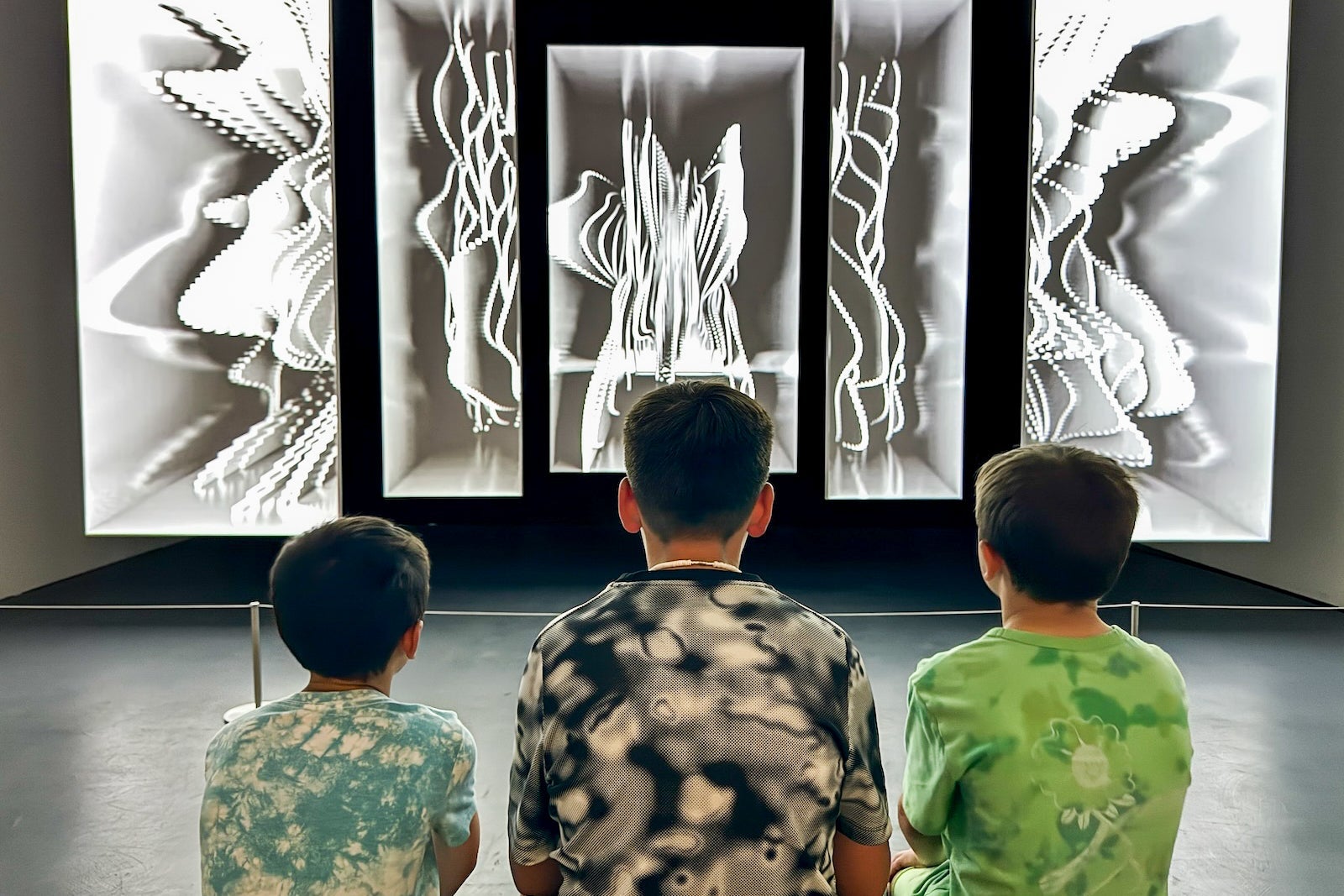 Boys looking at museum exhibit