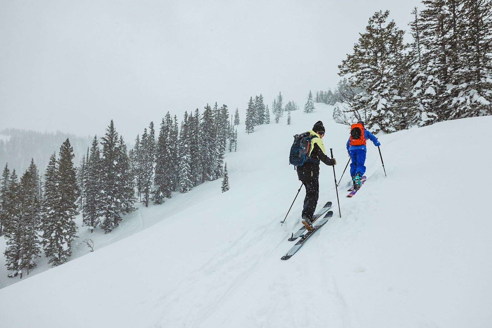 Snowy Jackson Hole Wyoming