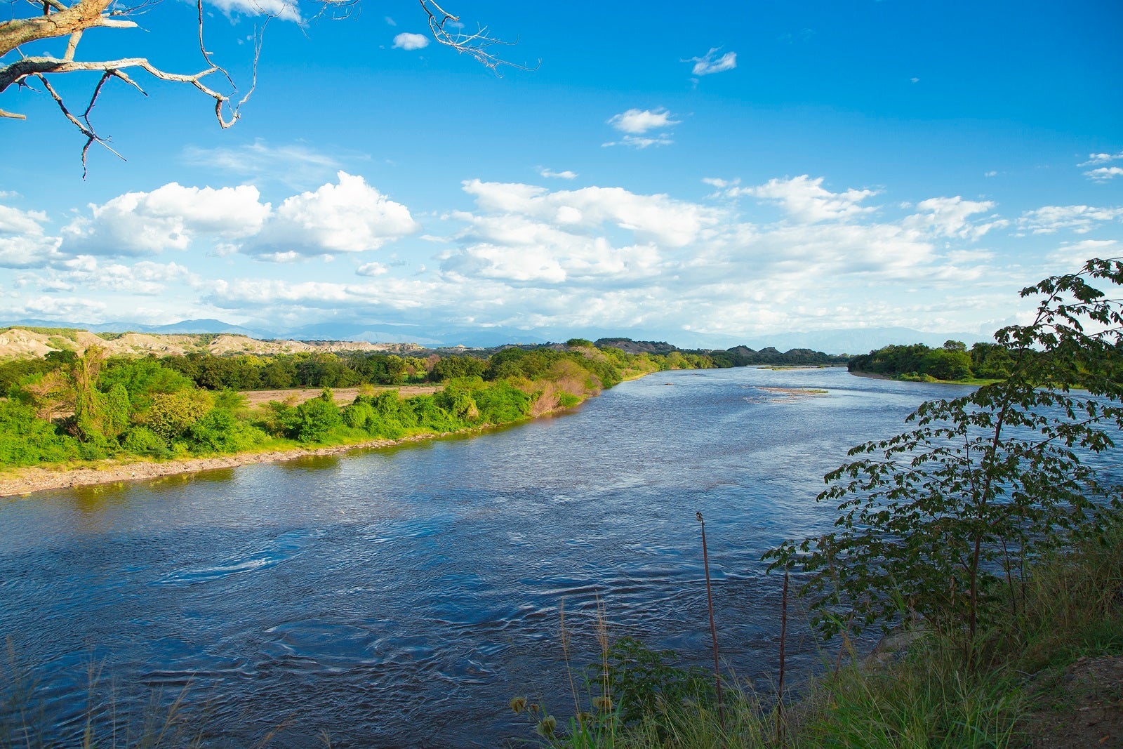 A section of the Magdalena River with blue sky and white clouds overhead and greenery on the riverbank