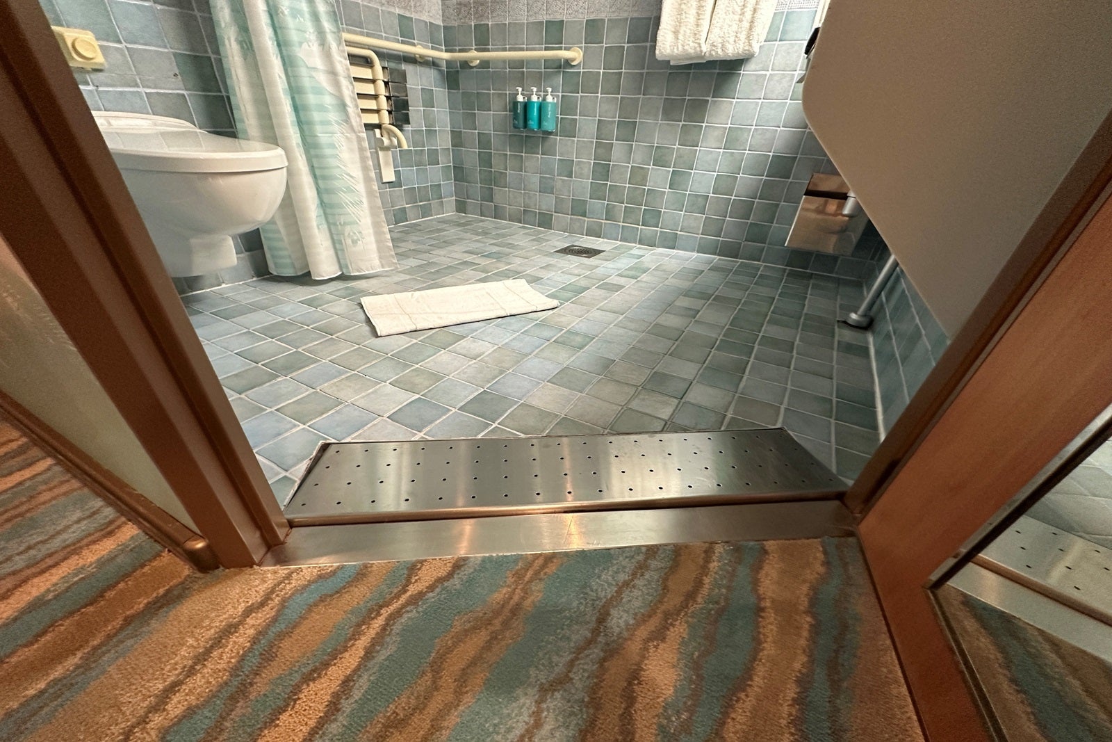 An accessible cabin bathroom on a cruise ship