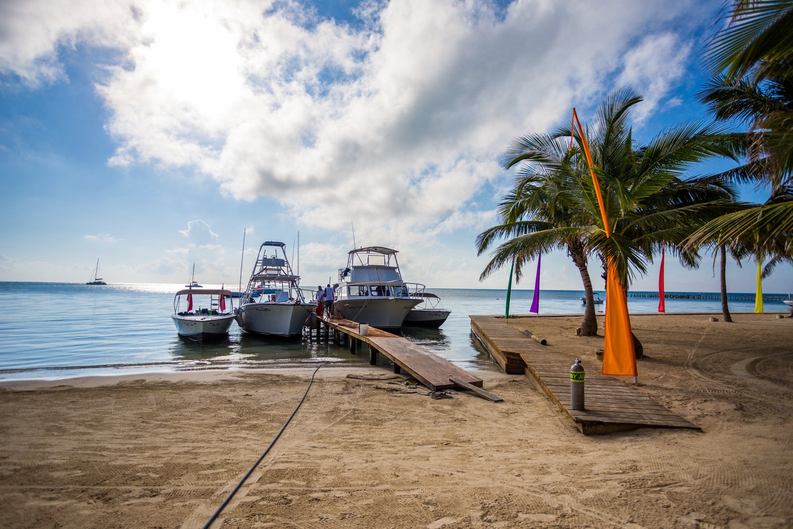 Beachfront scene with palm trees and boats docked on a pier