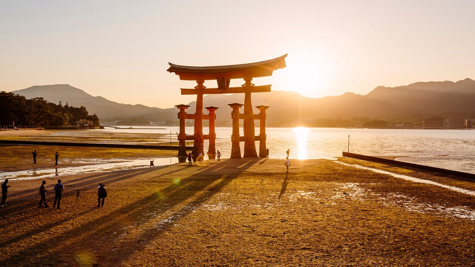 Torii gate in Miyajima during sunset, Japan