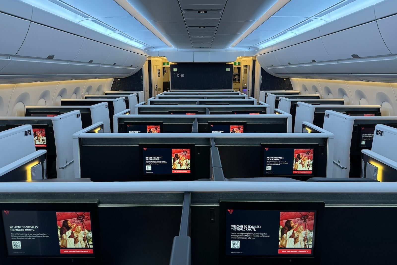 Delta to roll out upscale check-in option to every hub by end of 2025 ...