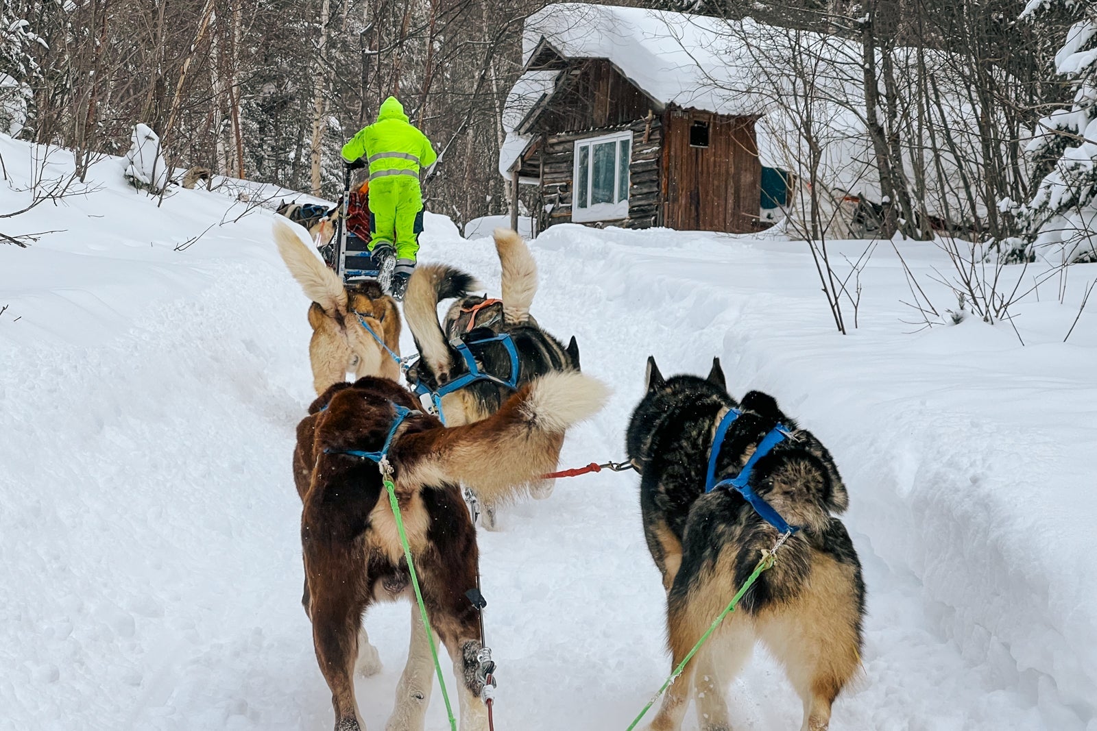 Le Commandant Charcot set off in dogsleds pulled by five-dog teams