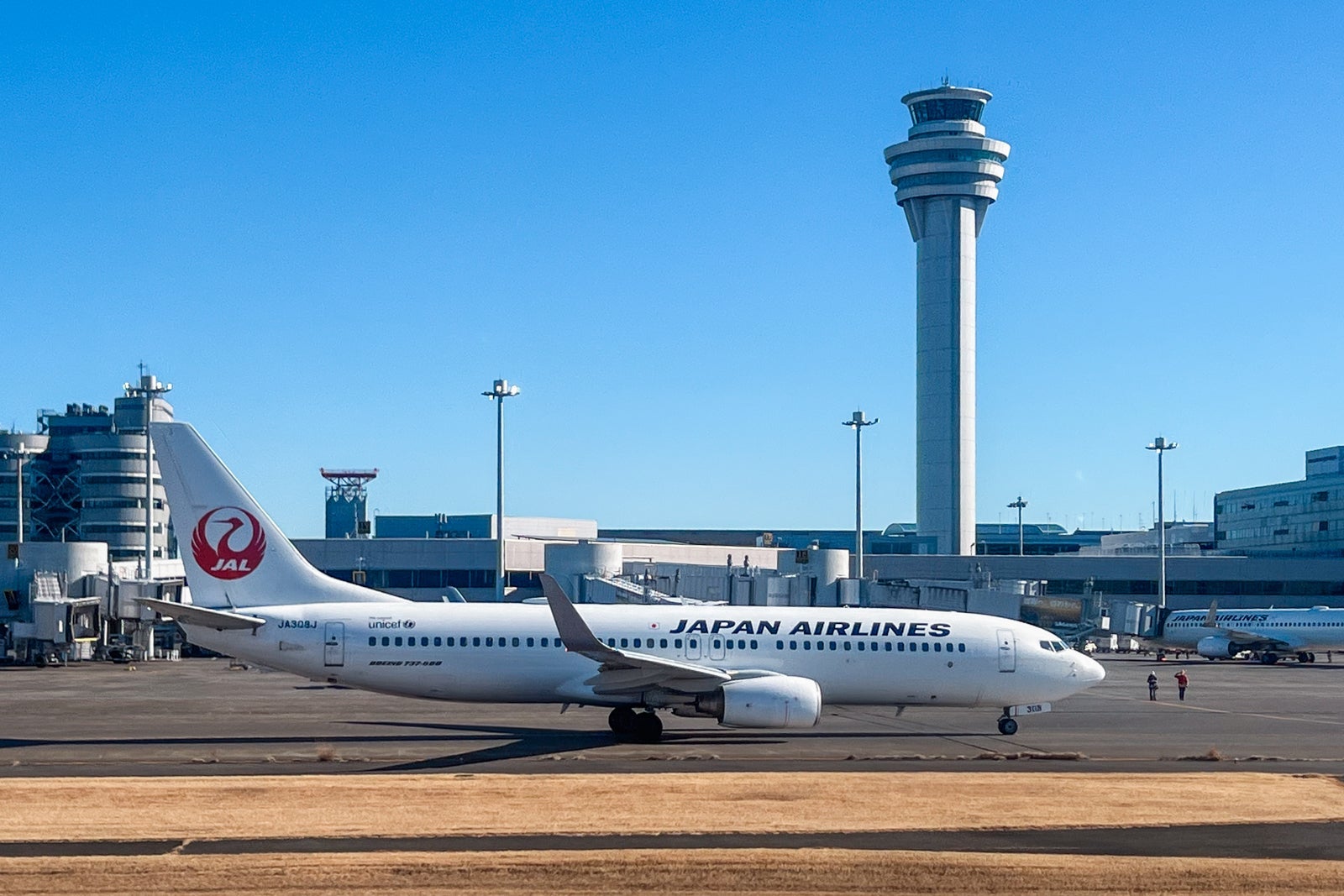 Japan Airlines jet at Tokyo's Haneda Airport in February 2025. CLINT HENDERSON/THE POINTS GUY