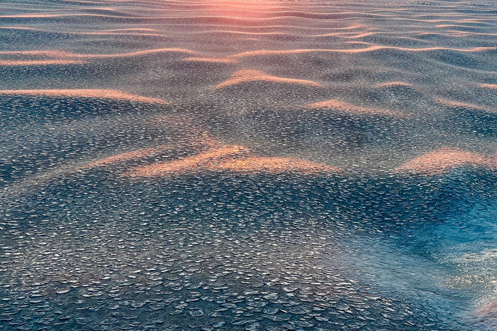 Pancake ice on the Gulf of Saint Lawrence at sunset.