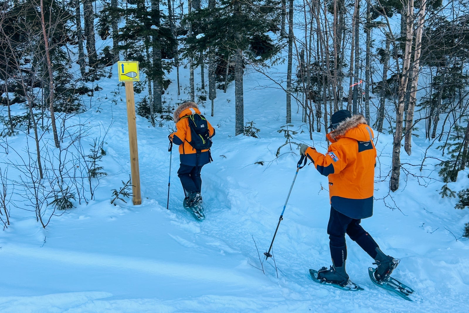 Le Commandant Charcot passengers showshoeing in the forests near Sept-Iles, Quebec