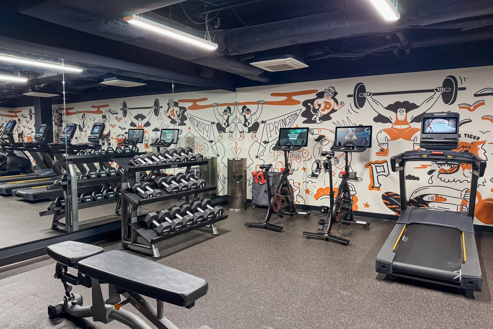 Graduate Hotel Princeton gym