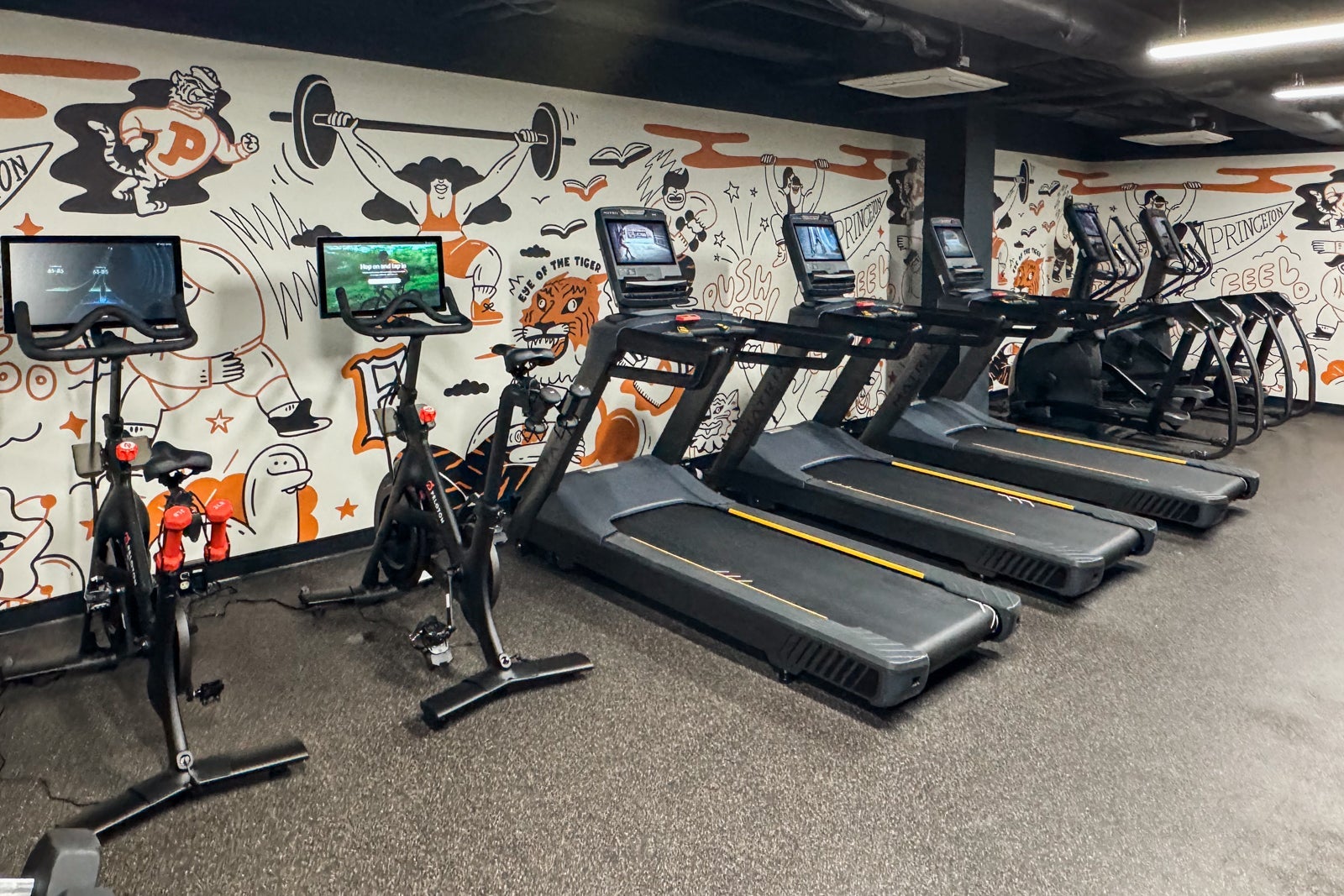 Graduate Hotel Princeton gym