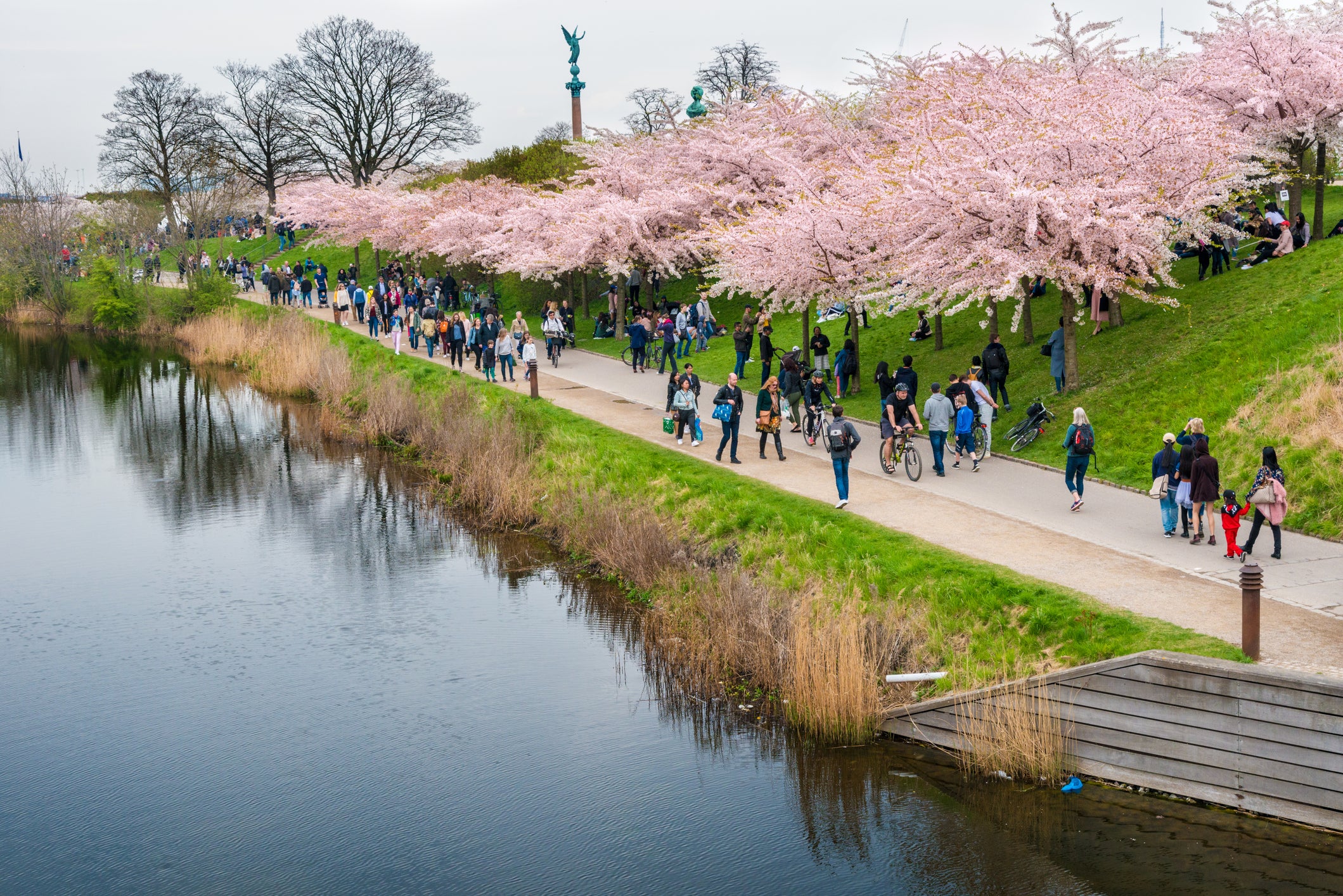 Churchill Park in Copenhagen Denmark - people enjoying the blooming cherry blossoms