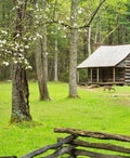 cabin in woods