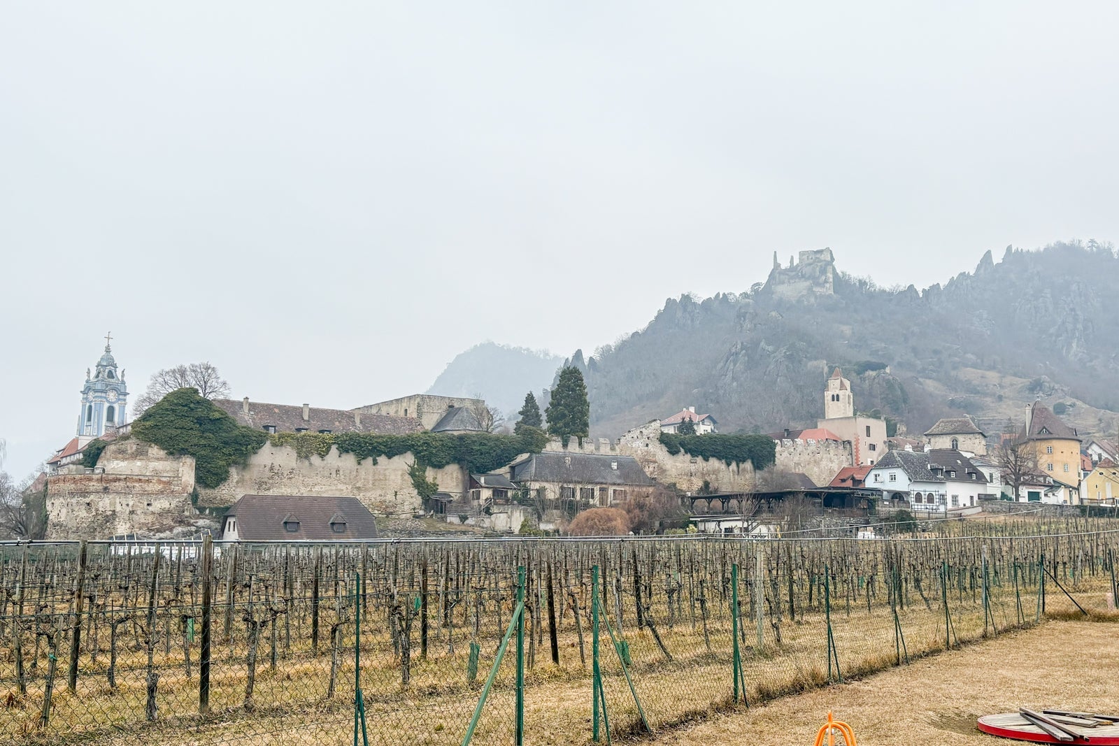 Barren vineyards with a castle in the distance