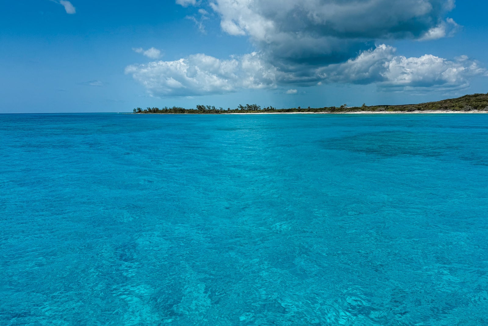 Disney's Lookout Cay at Lighthouse Point vs. Disney's Castaway Cay: Which is the better private island?