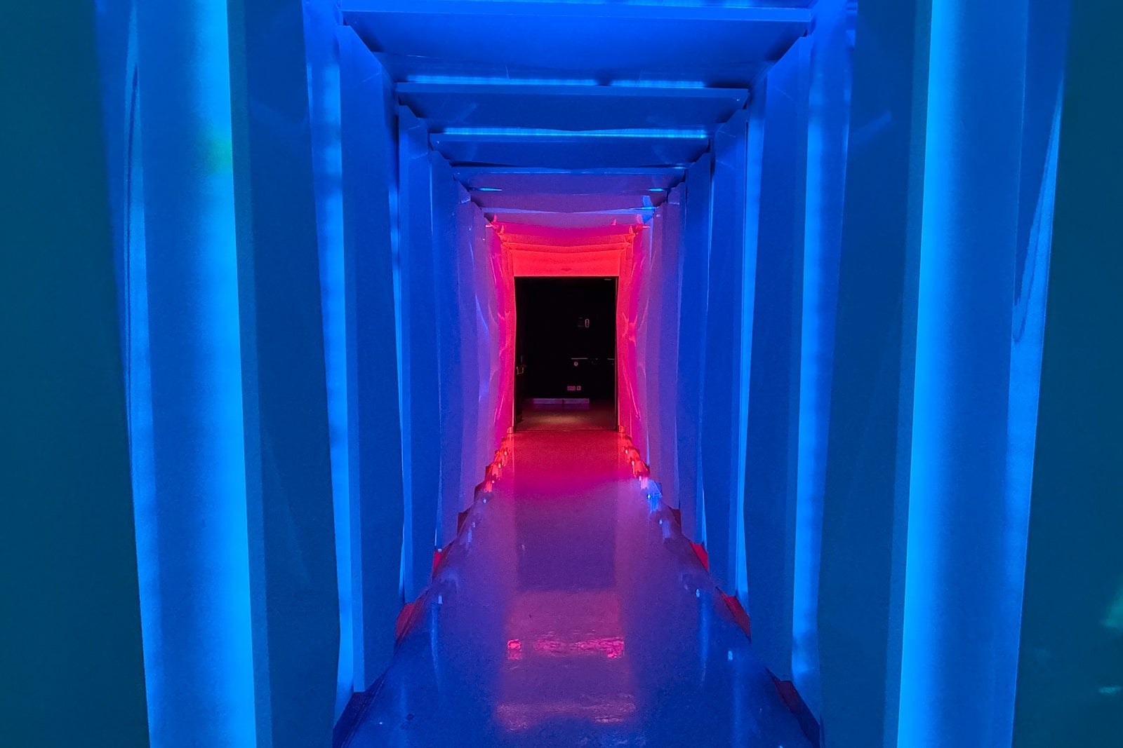 Disney Fantasy activities