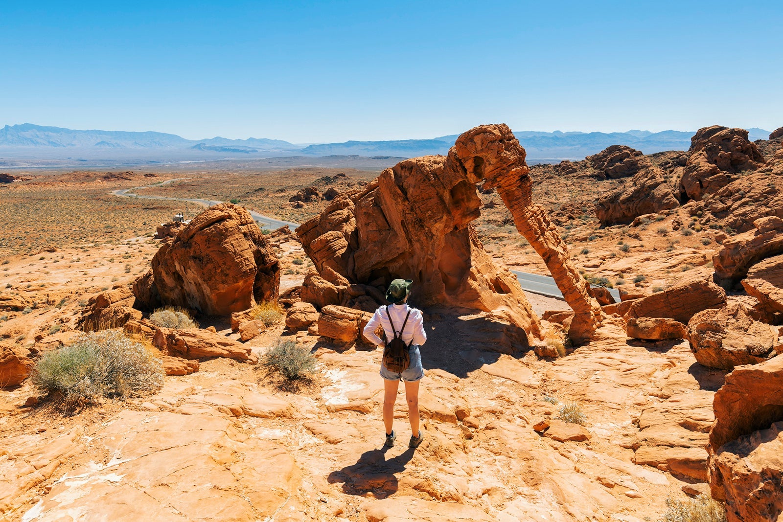 Person standing on rock overlooking Elephant Rock at Valley of Fire State Park in a sunny day, Nevada, USA