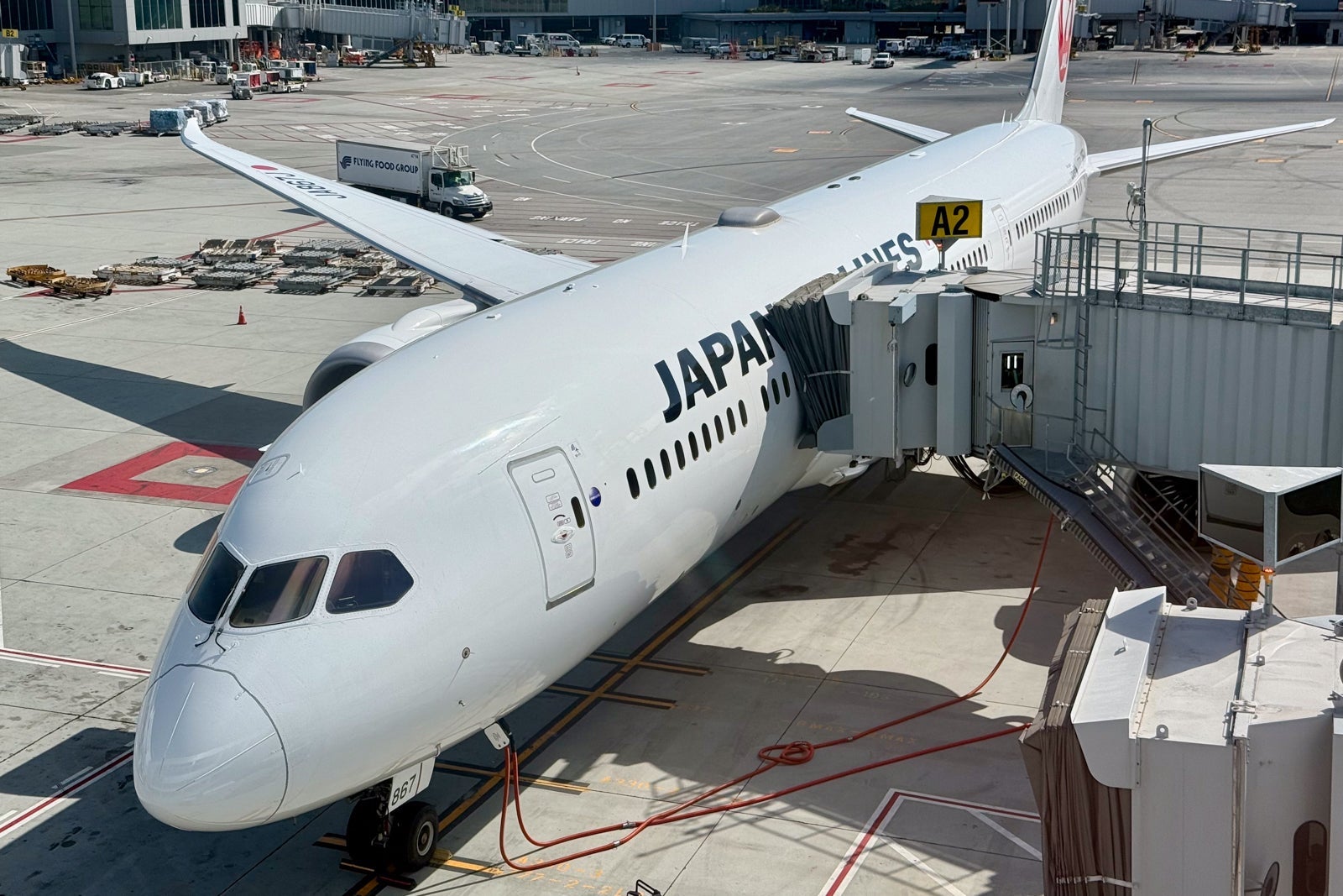 Japan Airlines 787 aircraft