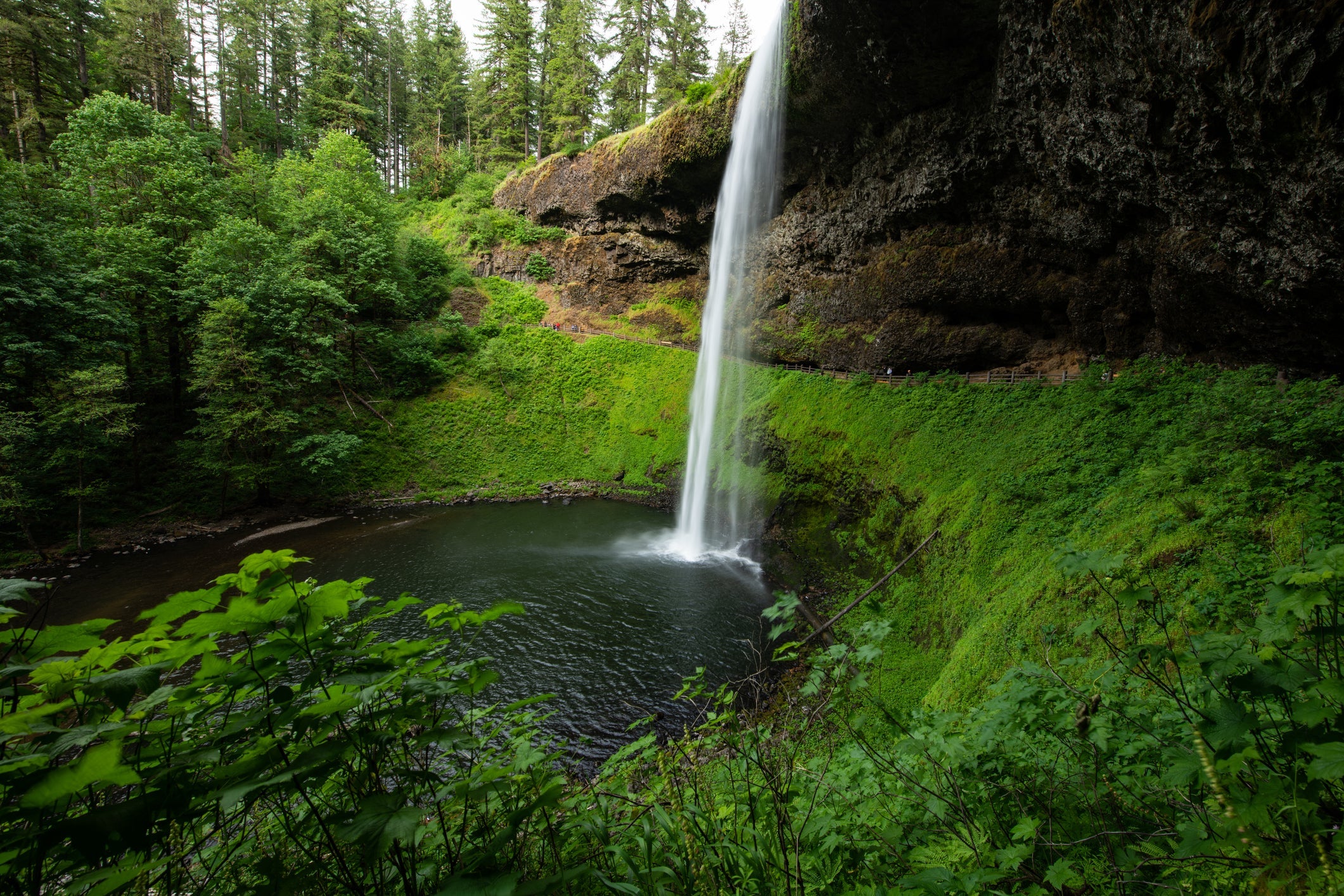 Silver Falls State Park - Marion County, OR