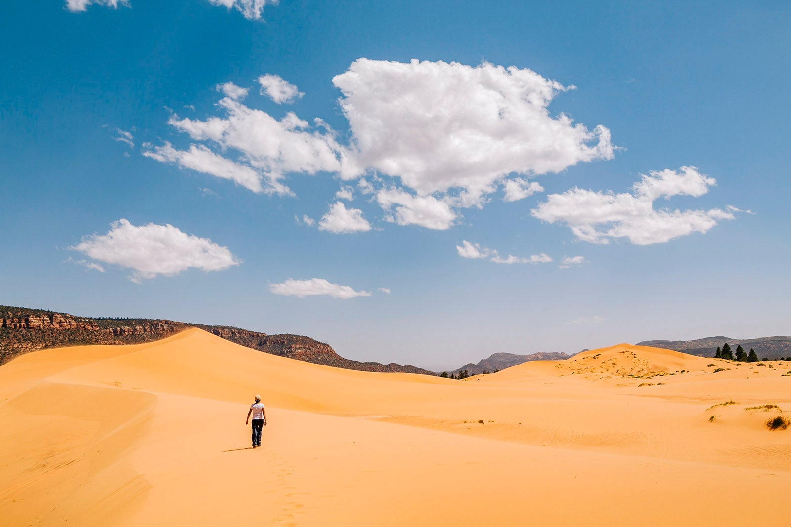 Young woman hiking in Coral Pink Sand Dunes State Park, Utah, USA