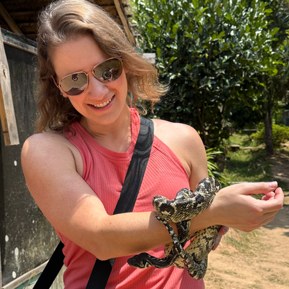 Madagascar snake 3