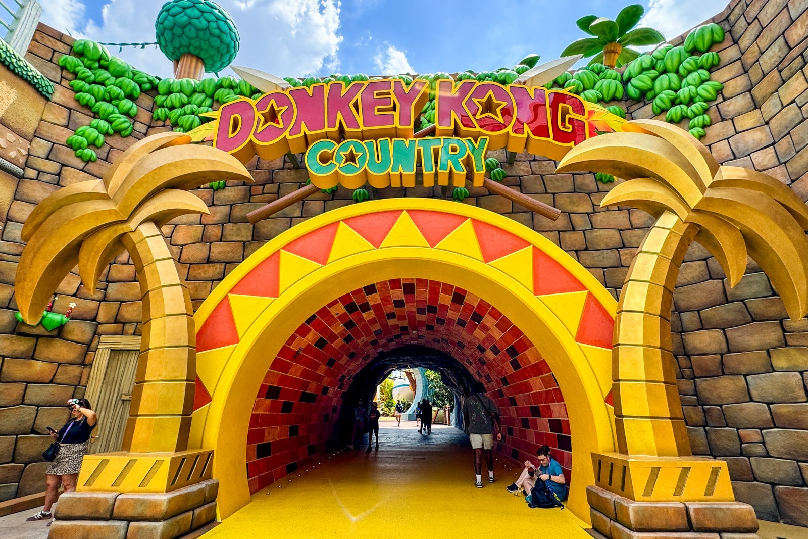 entrance to donkey kong country