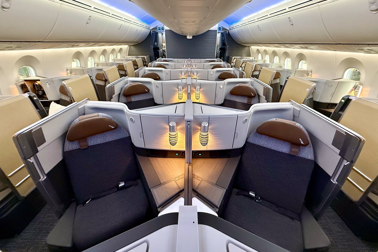 American Airlines 787-9P business class cabin