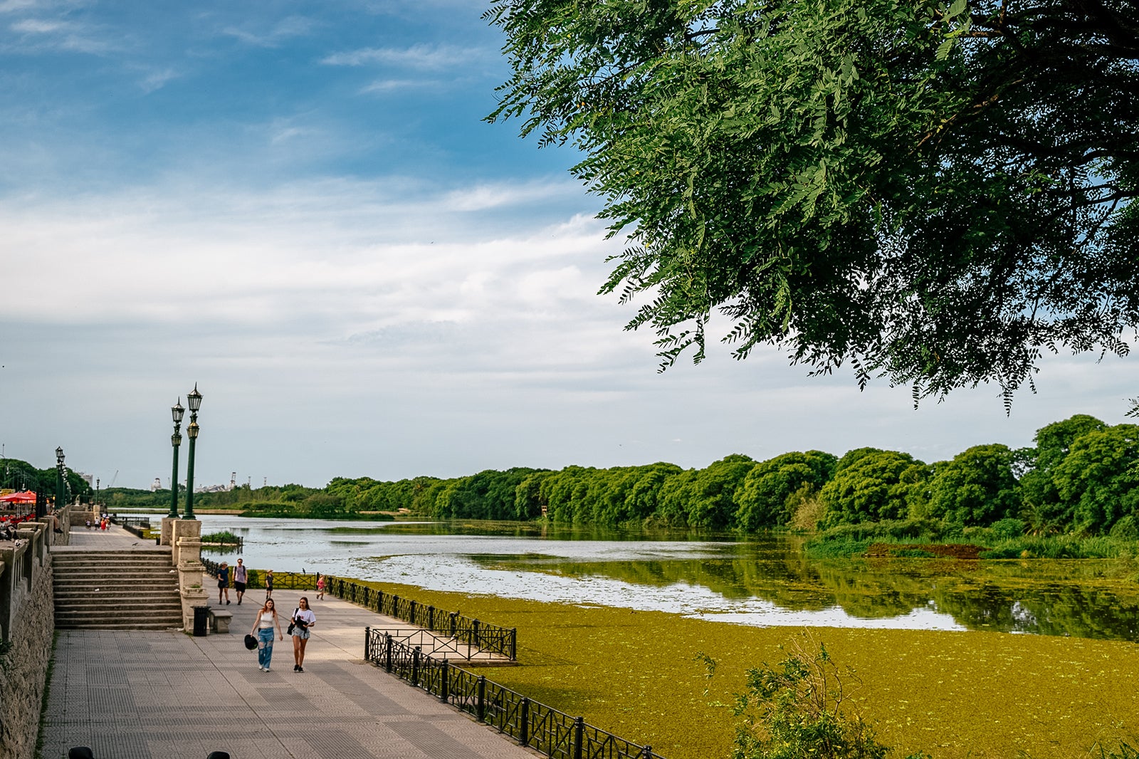 Best places to travel in September 2025 Costanera Sur Ecological Reserve, Buenos Aires, Argentina