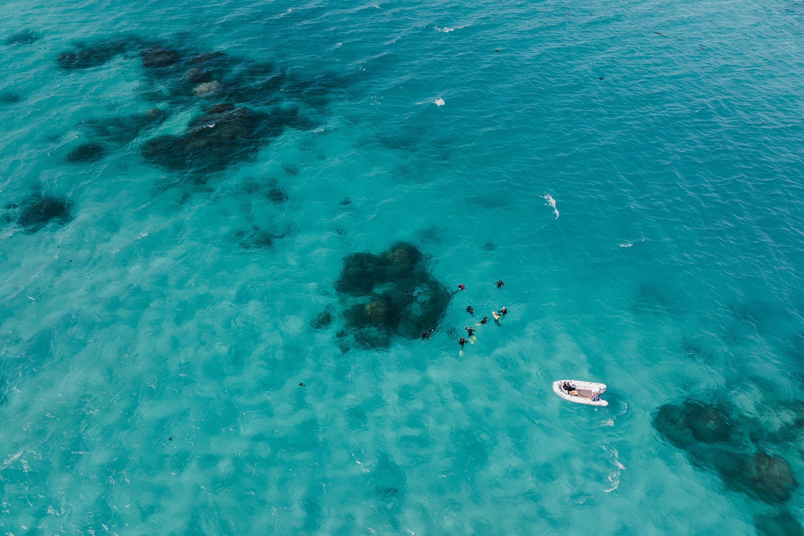 Group of people snorkeling on the Ningaloo Reef located in Exmouth, Western Australia.