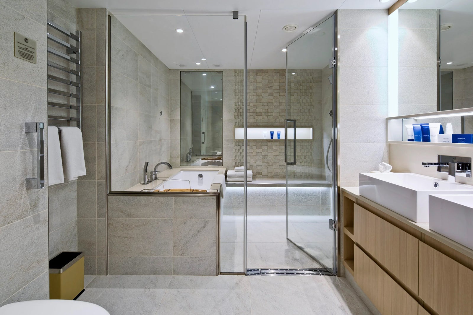 Explorer Suite Bathroom 1