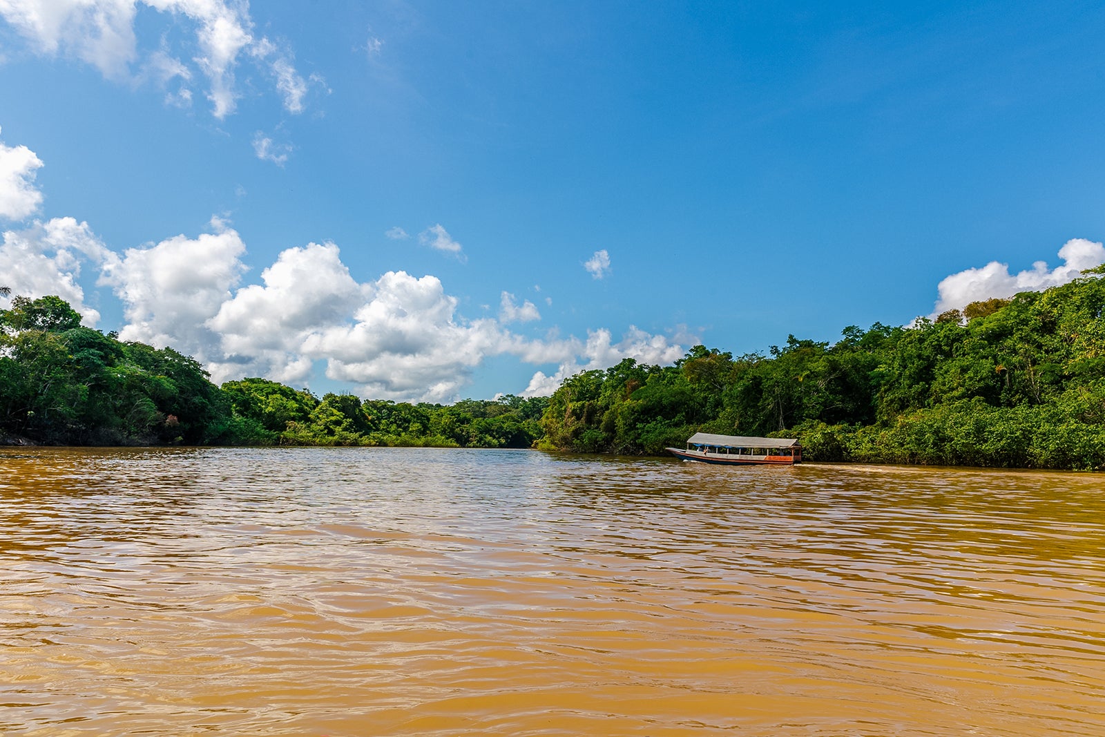 Sailing the Amazon River in the jungle of Iquitos, Peru