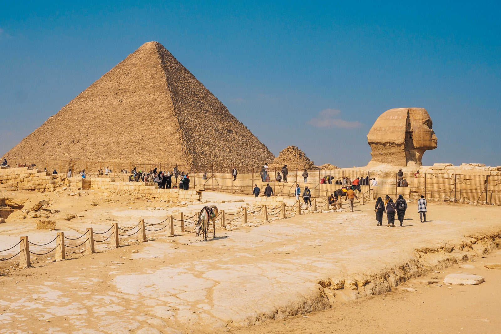 The Great Sphinx of Giza in Giza, Egypt