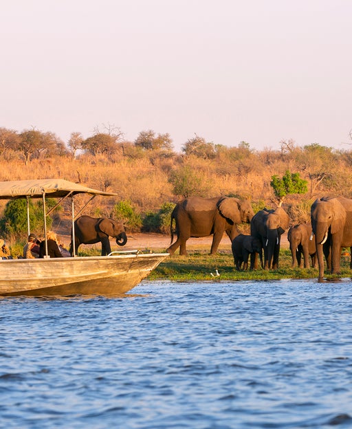 Tourist observe elephants in the edge of Chobe National Park, Botswana, Africa