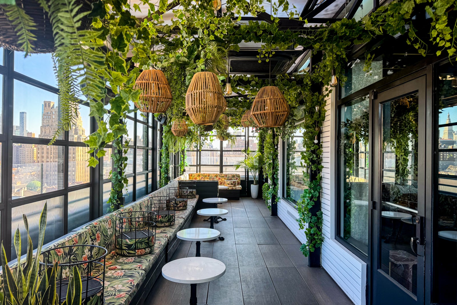 rooftop bar with plants