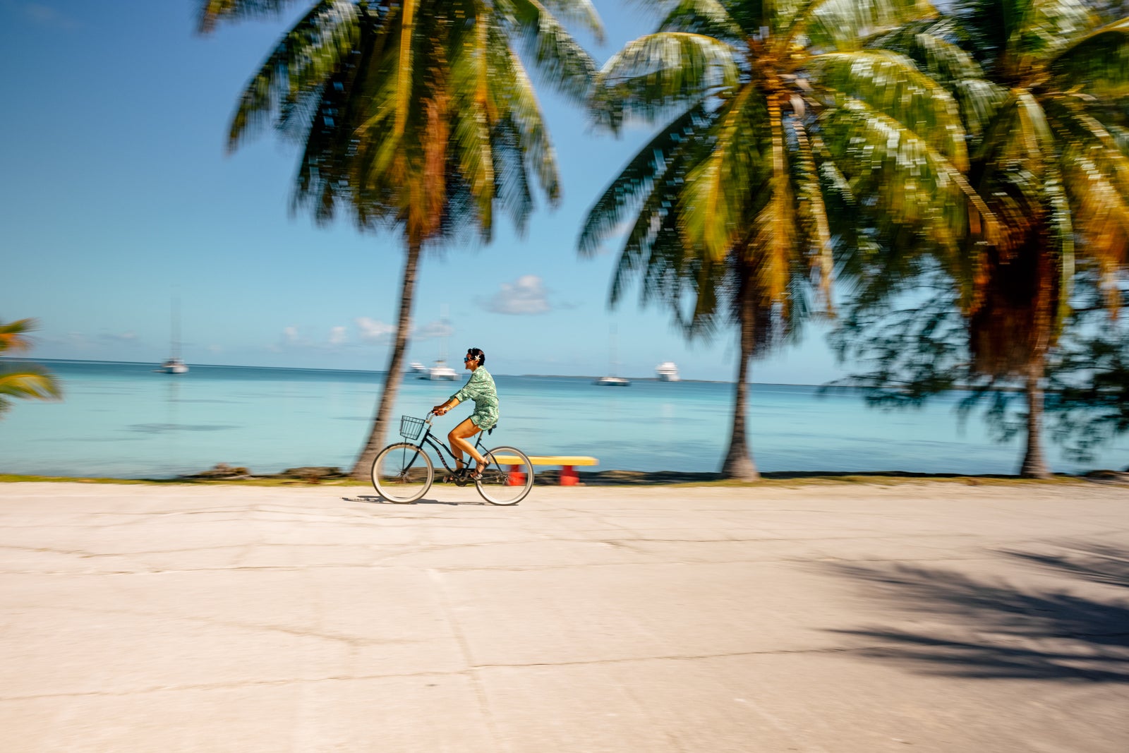 person bicycling along ocean at the beach