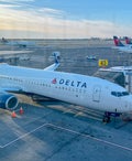Delta plane
