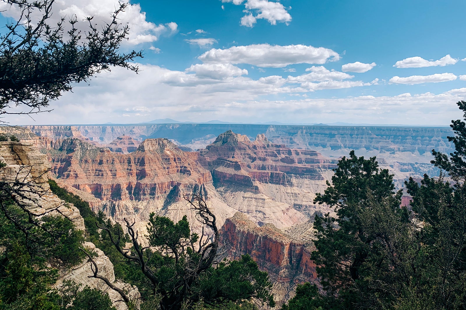 GRAND CANYON SHUTDOWN: Hotels LOCKED DOWN—Find Out Why NOW!