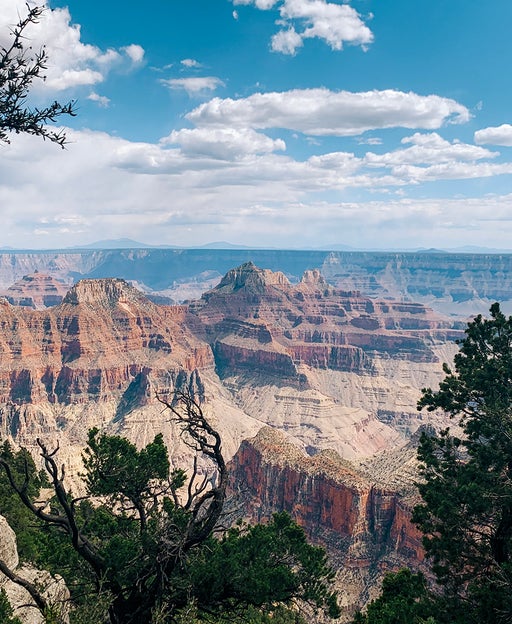 Grand Canyon National Park is closing all South Rim hotels temporarily