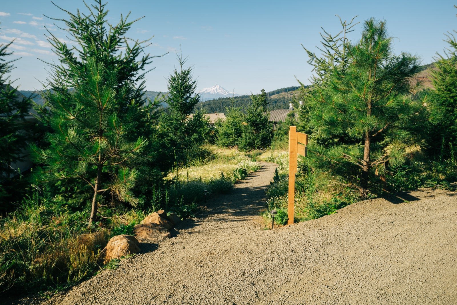 Under Canvas Columbia Gorge tent signs with view of Mt. Hood